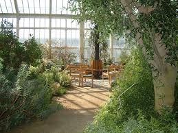 Wir suchen einen garten für uns und unseren hund herbie nördlich vom wedding. Standort Botanischer Garten Berlin De