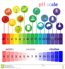 urine ph level chart what are the normal ph levels of urine