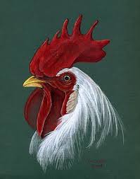 Rooster Drawings Leghorn Rooster Leghorn Rooster By Pat Latas Maud B Brahma Chickens Rooster Painting Rooster Art Chicken Painting