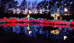 Over One Million Shimmering Lights Adorn Honor Heights Park At The Annual Garden Of Lights In Muskogee Oklah Garden Of Lights Travel And Tourism Annual Garden