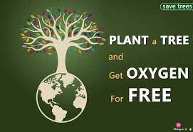Wishapp Wishes Save Tress Plants Quotes Tree Quotes Save Trees