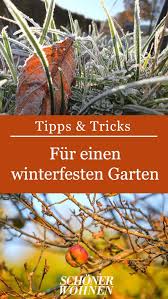 Macht Obstbaume Winterfest Fruchtmumien Entfernen Bild 7 Winterfest Winterfest Machen Pflanzen