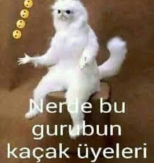 Ravan Ganizade Adli Kullanicinin Komik Resimler Panosundaki Pin Komik Unluler Komik Seyler Komik Kizlar
