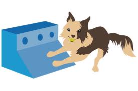 After being assigned to an animal rescue shelter as part of his community service by his probation officer, a troubled teenager is forced to get into the spirit of the holidays when he is recruited to help find homes for twelve unwanted dogs before christmas. Border Collie Playing Flyball Svg Cut File By Creative Fabrica Crafts Creative Fabrica