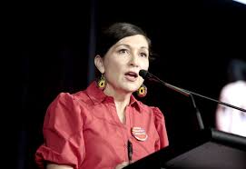 How young people can have their input to parliament