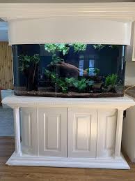 Beautiful Fish Tank Setups Large Fish Tanks Fresh Water Fish Tank Modern Fish Tank