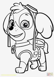 Paw Patrol Coloring Sheets New Photography Free Paw Patrol Coloring Pages Top Free Printable Paw Patrol Coloring Pages Paw Patrol Coloring Puppy Coloring Pages