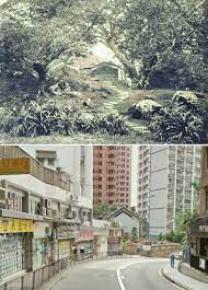 1860s年 現在平行時空150多年前在1868年重修前銅鑼灣 燈籠洲紅香爐天后古廟 天后廟古道原貌 燈籠洲天后古廟 或簡稱天后古廟 位於香港島銅鑼灣天后廟道10號 灣仔區及東區之間的一條分界綫 銅鑼灣天后廟始建於清初 由戴仕蕃 hong kong history pictures