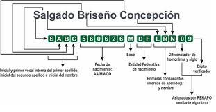 Personas físicas que deseen conocer su clave de rfc mediante su curp. Consulta Tu Curp