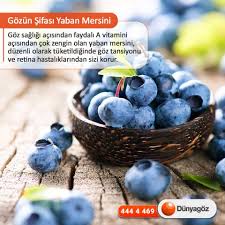 Her Gun Bir Avuc Yaban Mersini Goz Sagligini Korur Cocuklarda Ogrenme Kapasitesini De Yukseltir Gozeiyigelenbesinler Du Yaban Mersini Saglik Egitimi Saglik