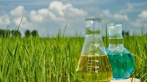 Chemical Industry
