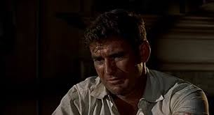Rod Taylor