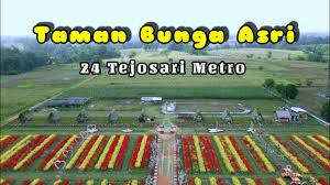 I kadek angga budayasa adalah pemuda 21 tahun. 16 55 Mb Wisata Taman Bunga Asri Metro Pariwisata Kota Metro Lampung Download Lagu Mp3 Gratis Mp3 Dragon