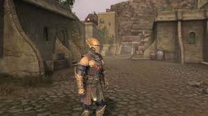 Morrowind Looks Gorgeous As A Skyrim Mod In The First Gameplay Footage Of Skywind Pcgamesn