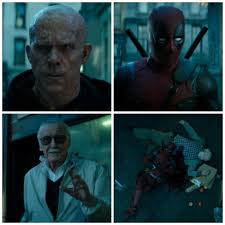 The movie will pause and you will see information. Deadpool 2 2018 Full Movie Download 720p In Hindi Mp4moviez Hd Mp4 Movies Latest Bollywood Movies Full Movies