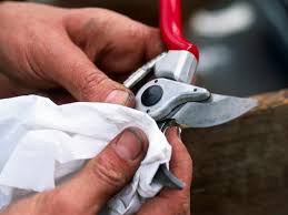 How to clean and oil garden tools. How To Clean Garden Tools To Prevent Rust And Dull Blades Bless My Weeds