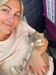 Missing domesticated bunny in Fallston area near Angleside Road