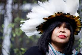 Brazil's Indigenous people turn to EU to save their savanna