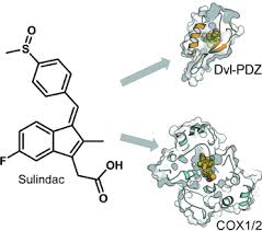 Image result for Sulindac