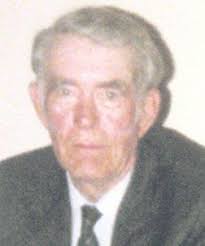 Sarah Burke Obituary (2014)