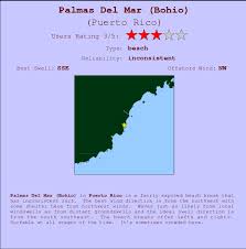 Palmas Del Mar Bohio Surf Forecast And Surf Reports