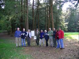 As i mentioned in the first feature, there is a structured s. Forest Cathedral Natural Area Cook Forest State Park Old Growth Forest Network