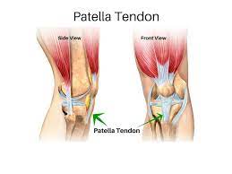 Pin On Lisfranc