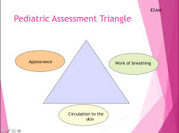 Image result for Pediatric Assessment Triangle