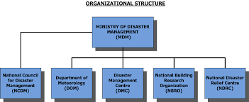 Organization Structure