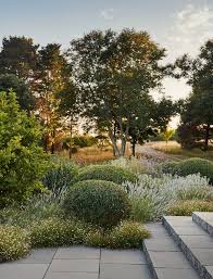 Dan Pearson S Sustainable Design For A Spectacular Coastal Garden Coastal Gardens Garden Landscape Design Landscape Design
