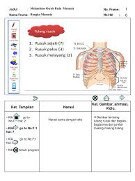 Sistem rangka adalah suatu sistem organ yang memberikan dukungan fisik pada makhluk hidup. Mekanisme Gerak Pada Manusia Ppt Download