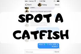As Dating Apps Become More Popular There Are Often Fake Profiles That Are Made By Real People In Order To In 2020 Dating Help Bumble Dating App Online Dating Profile