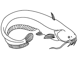 Giant Catfish Coloring Pages Best Place To Color In 2020 Fish Coloring Page Coloring Pages 3rd Grade Art