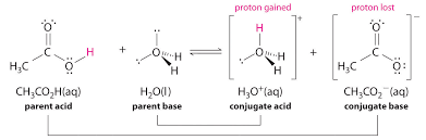 Hcl dissociates completely in water. A Qualitative Description Of Acid Base Equilibriums