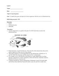 Definition & example atomic number and mass number Dichotomous Keys Fish Lab Worksheet