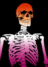 Lesbian Skeleton' Poster by MintInvestmentsLLC | Displate