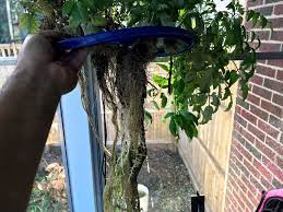 Harvard Grad Finds Soil Less Farming Saves Water And Often Eliminates Harmful Pesticides Vertical Garden Store Vertical Garden Garden Store Save Water