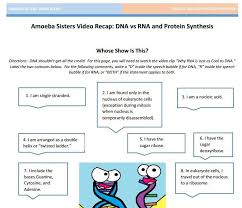 Some of the worksheets for this concept are amoeba sisters video recap monohybrid crosses mendelian, amoeba sisters video recap dihybrid crosses mendelian. Dna Vs Rna Protein Synthesis Handout Made By The Amoeba Sisters Click To Visit Website And Scroll Persuasive Writing Prompts Biology Worksheet Biology Lessons