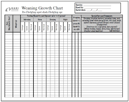 Weaning Growth Chart For Parrot Life Stages Hari
