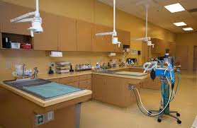 However, the cost solely depends on the emergency that your pet is experiencing. Monterey Peninsula Ca Animal Hospital 24 Hour Emergency Pet Services Monterey Peninsula Veterinary Emergency Specialty Center Monterey Ca