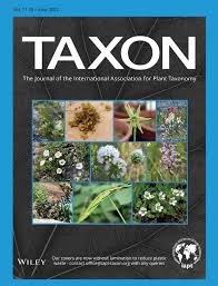 Image result for Spermacoce subvulgata