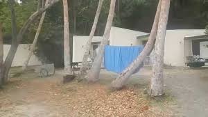 John from 200+ sites worldwide! St John Usvi Cinnamon Bay Campground Part 3 Of 4 Youtube