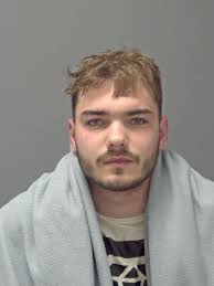 Jailed in Suffolk: The criminals put behind bars last week