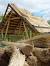 Thatched Roof