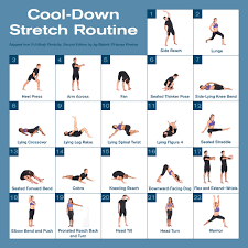 Image result for Stretching Program