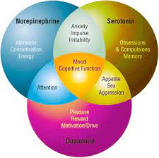 6 Symptoms Of Low Dopamine
