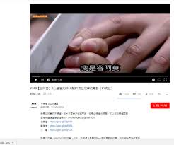 爭議網紅谷阿莫「5分鐘帶你看xxx電影」被告侵權遭北檢起訴-- 上報 焦點