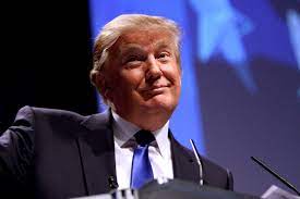 Fake News Donald Trump Blank Template Imgflip