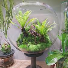 James Wong Botanygeek Instagram Foto S En Video S Grow Lights Miniature Terrarium Fairy Garden