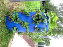 Faire Une Tour A Fraisiers Idee Deco Jardin Tour A Fraisiers Potager Vertical